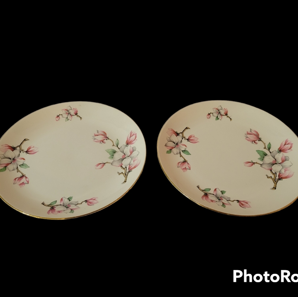 Homer Laughlin Rhythm Salad Plates Set Of 2
